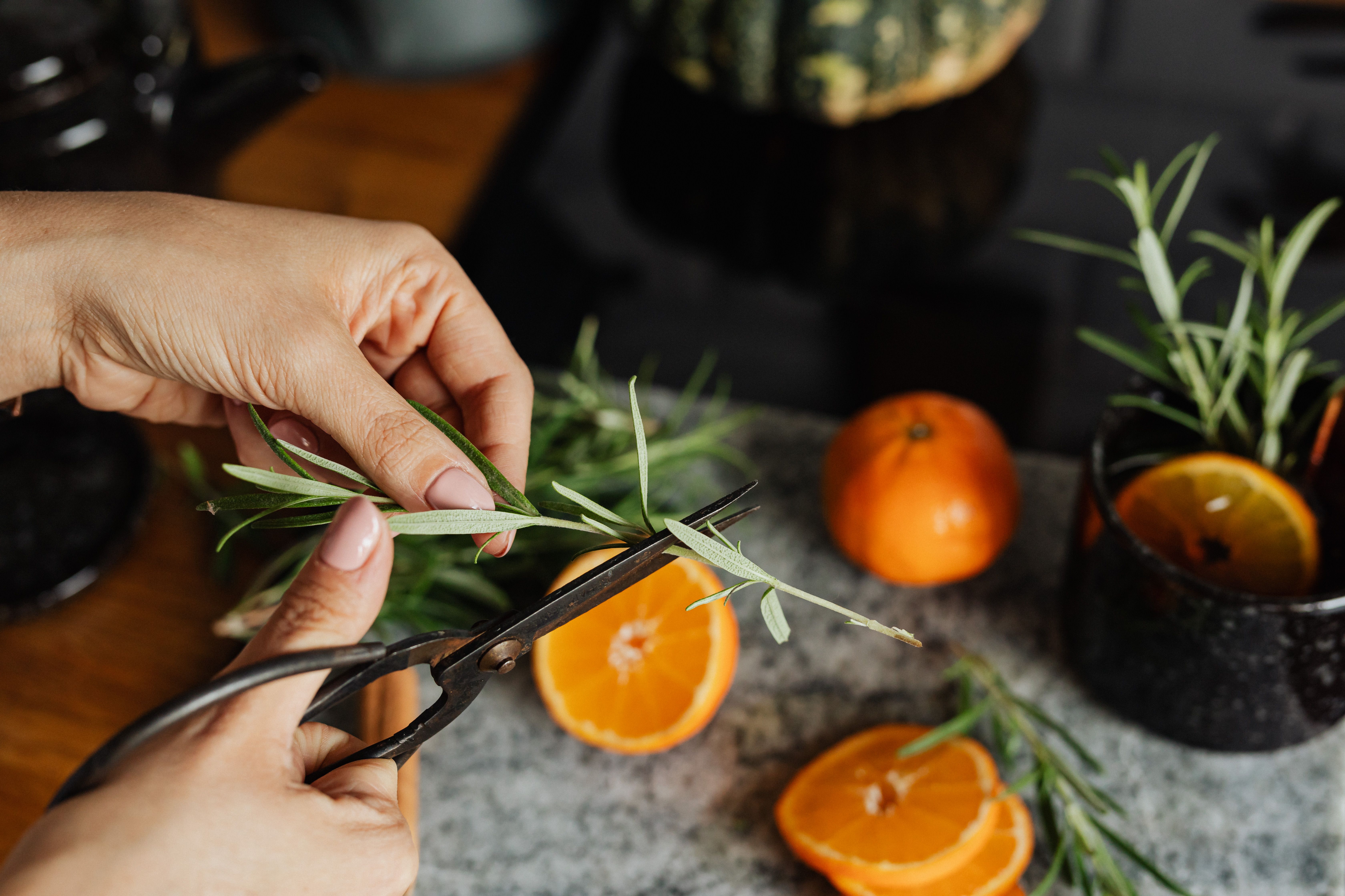 Best Kitchen Scissors Under $15 (2026)