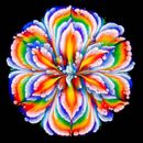 Yellow Green and Blue Flower Illustration