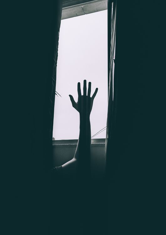 Hand Raised Towards Window · Free Stock Photo