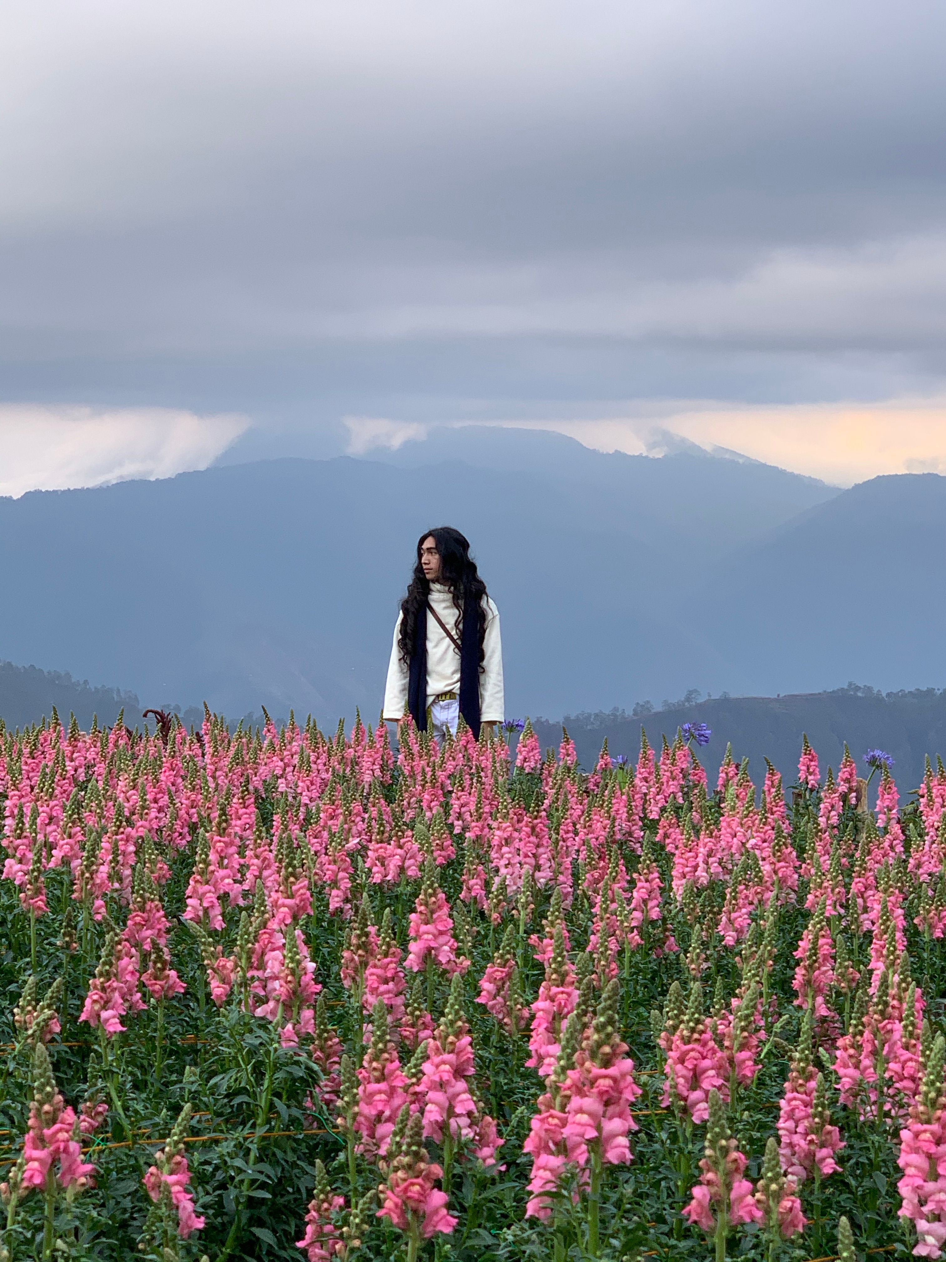 一名妇女安详地站在粉红色的田野里，背景是山脉