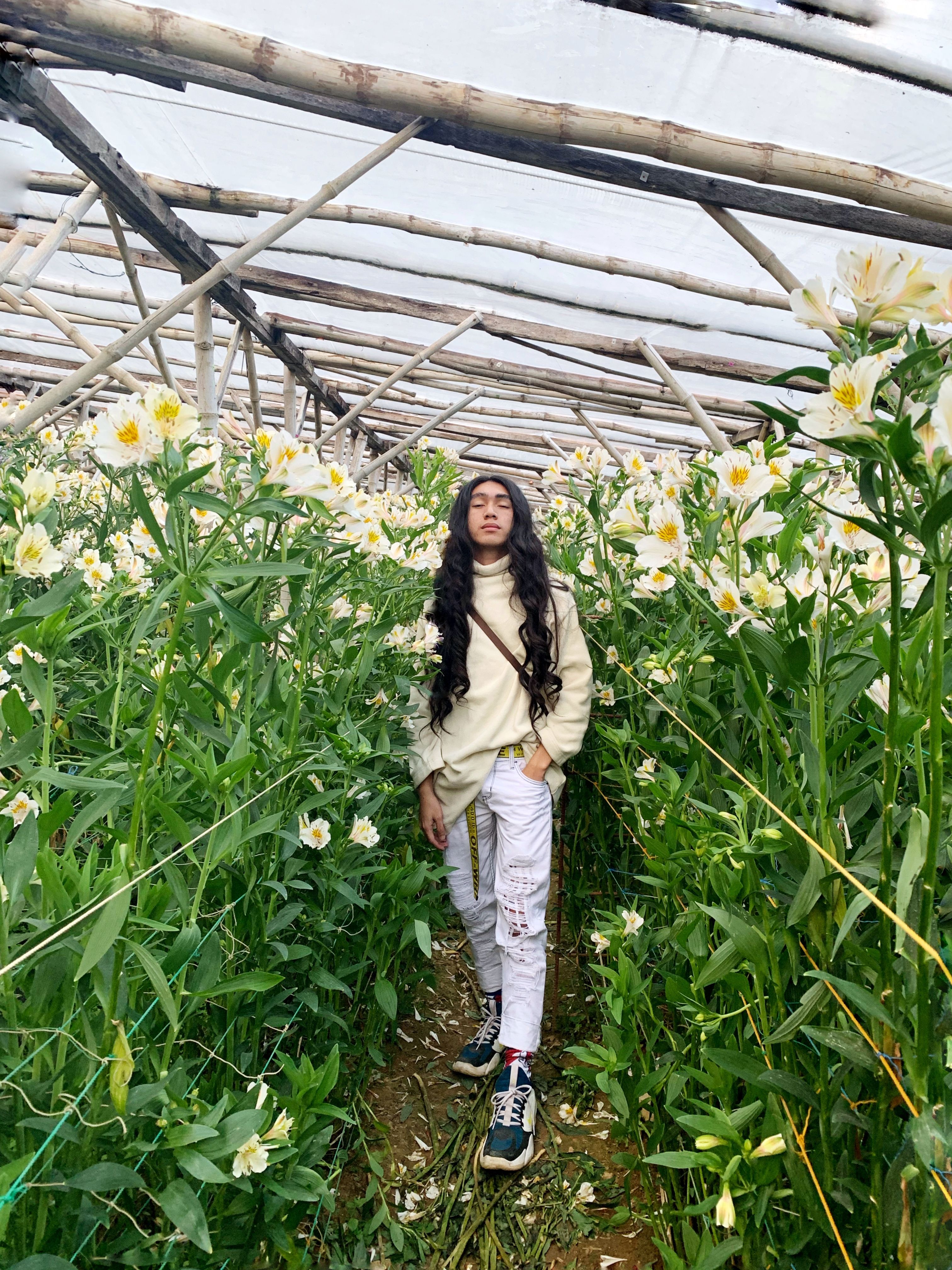 一位年轻人在鲜花盛开的温室里散步，享受着宁静，四周环绕着生机勃勃的植物