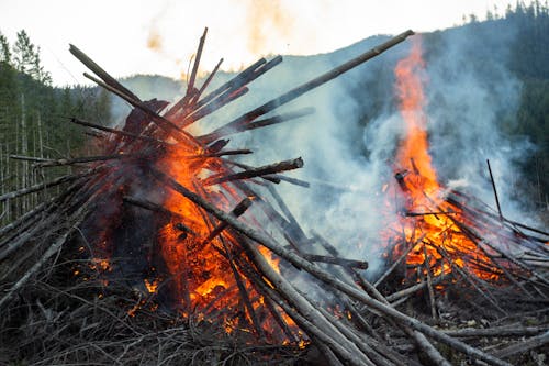 Gratis lagerfoto af brænding, brand, flammende