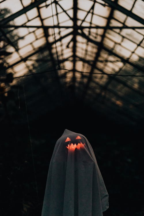 White Sheet Thrown Over an Illuminated Pumpkin to Make a Ghost Decoration for Halloween 