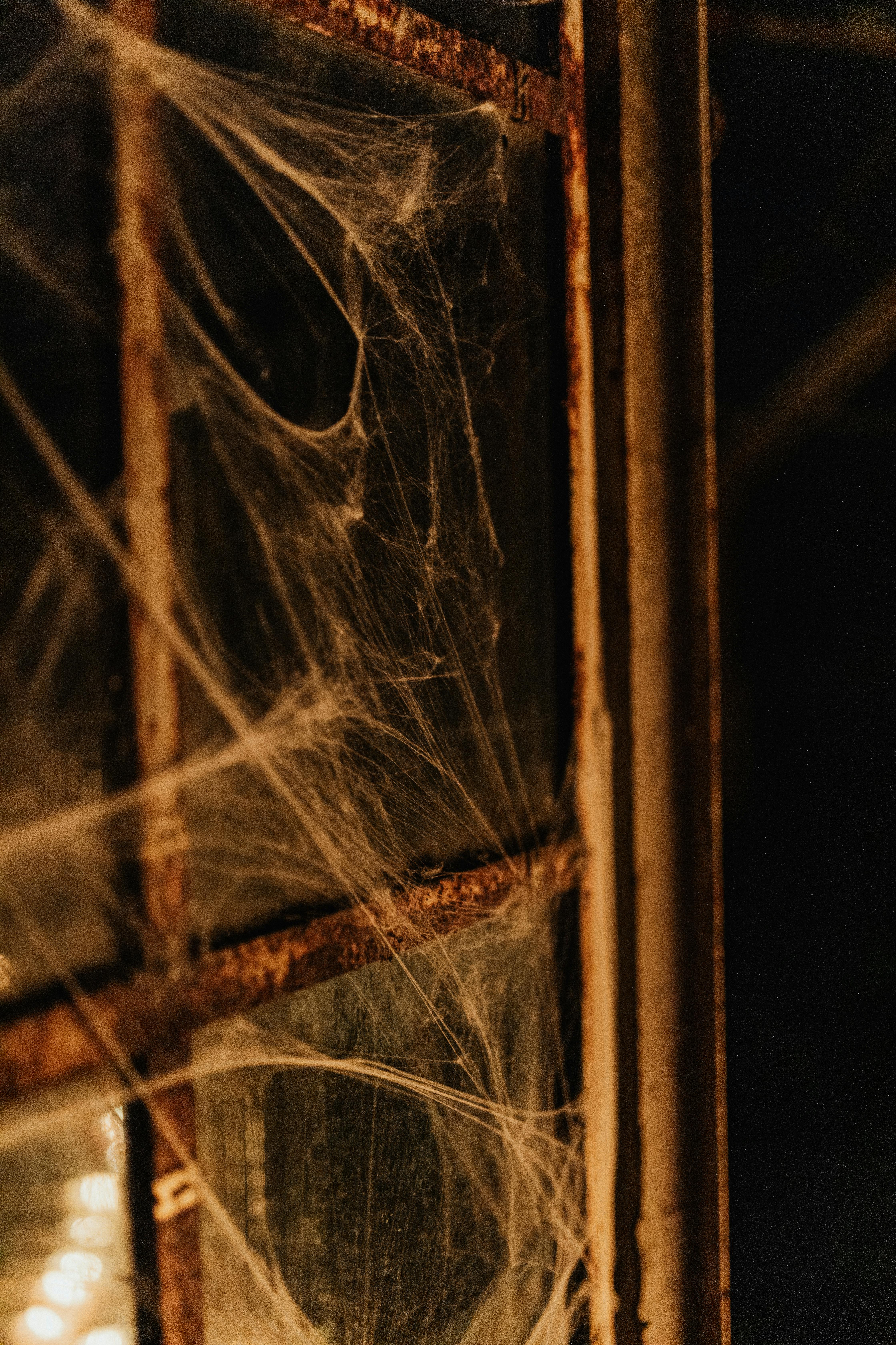 布满蜘蛛网的生锈窗框特写，捕捉到神秘而喜怒无常的气氛