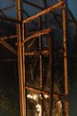 Lights in Rusty Window