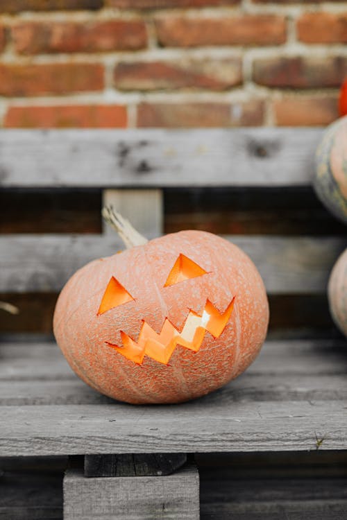 かぼちゃ, ハロウィン, ベンチの無料の写真素材