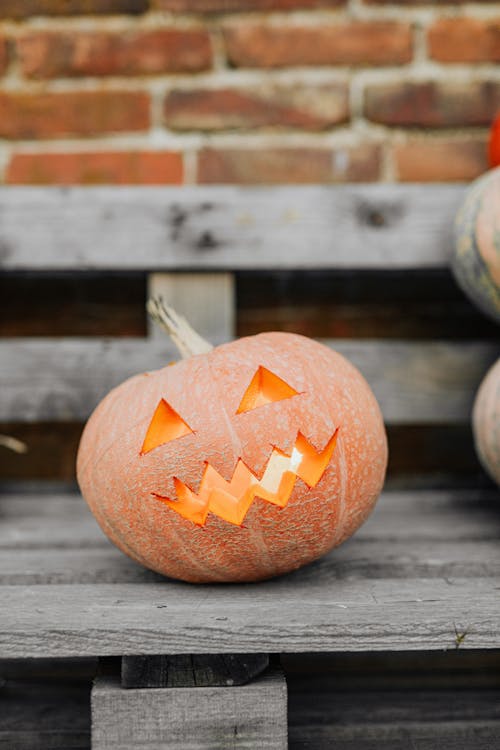 Halloween Pumpkin on Bench