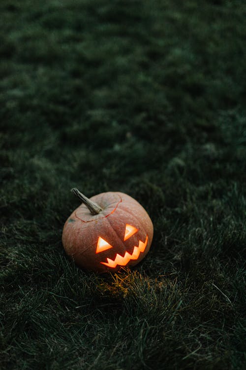 Free Δωρεάν στοκ φωτογραφιών με halloween, Jack o'lantern, ανατριχιαστικός Stock Photo