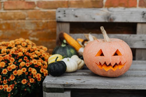 かぼちゃ, さびれた, さびれている, ジャックランタンの無料の写真素材