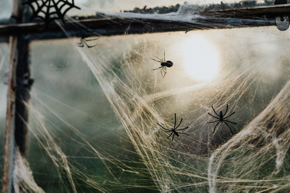 Spooky Interior Design Halloween Marketing Blueprint