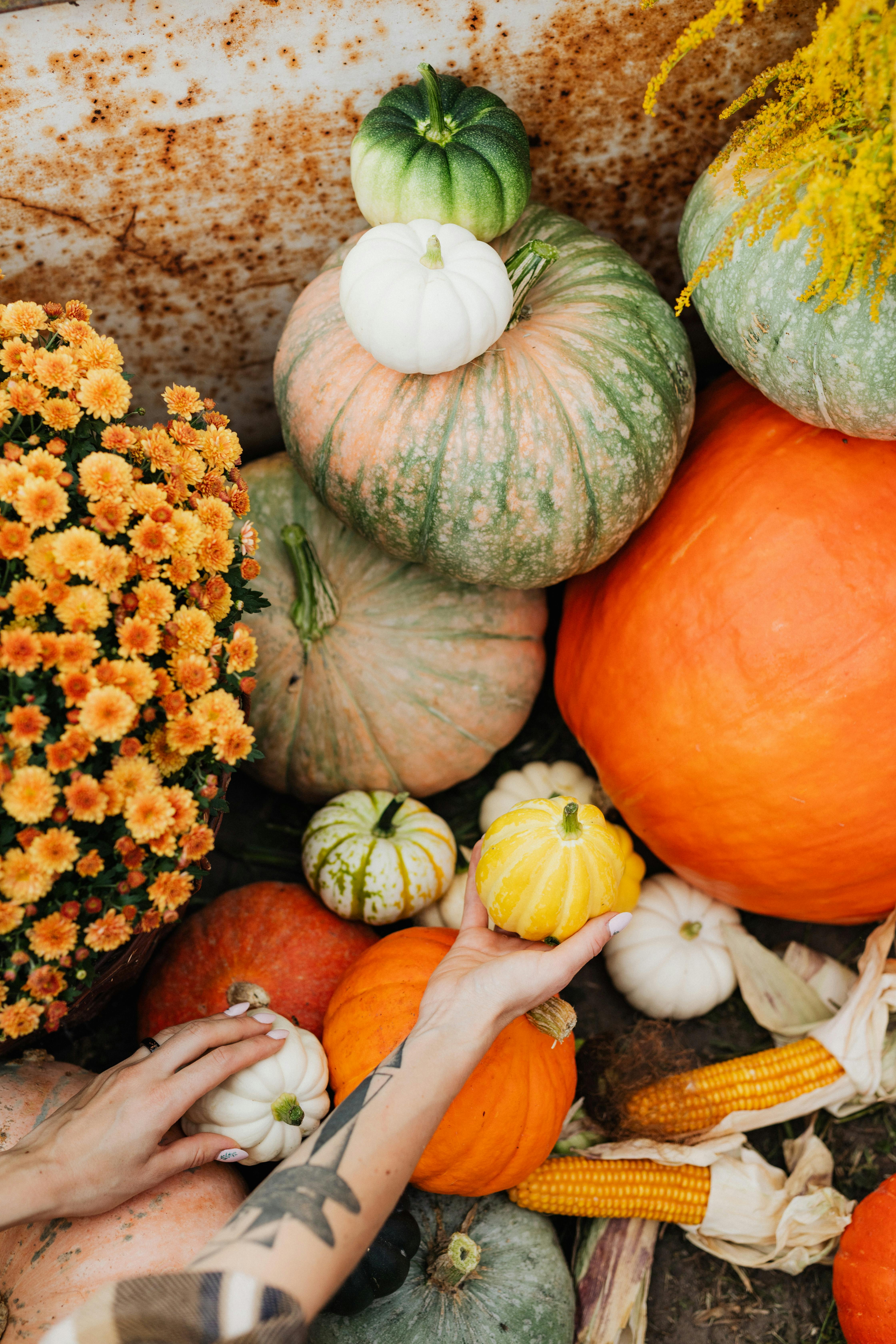 woman preparing a halloween arrangement with ornamental pumpkins