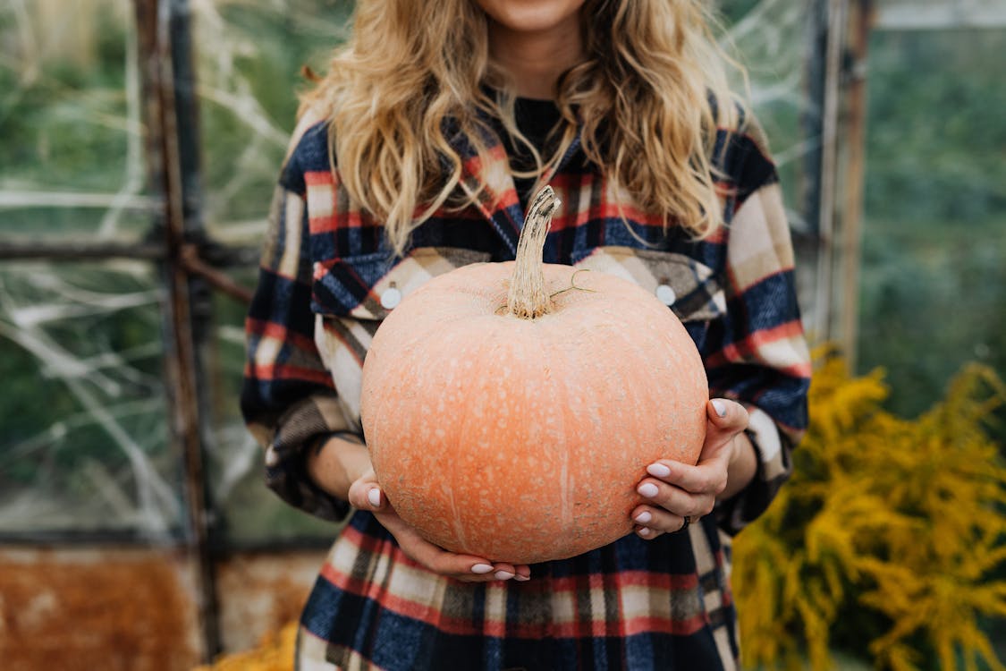 Ilmainen kuvapankkikuva tunnisteilla blodne, Halloween, kurpitsa