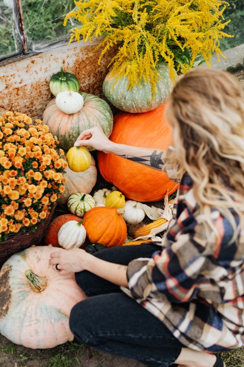 Free Woman arranging pumpkins and flowers in a fall garden setting. Stock Photo