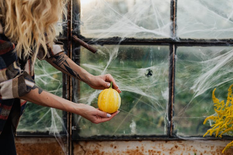 Woman Holding Pumpkin In Front Of Spider Web