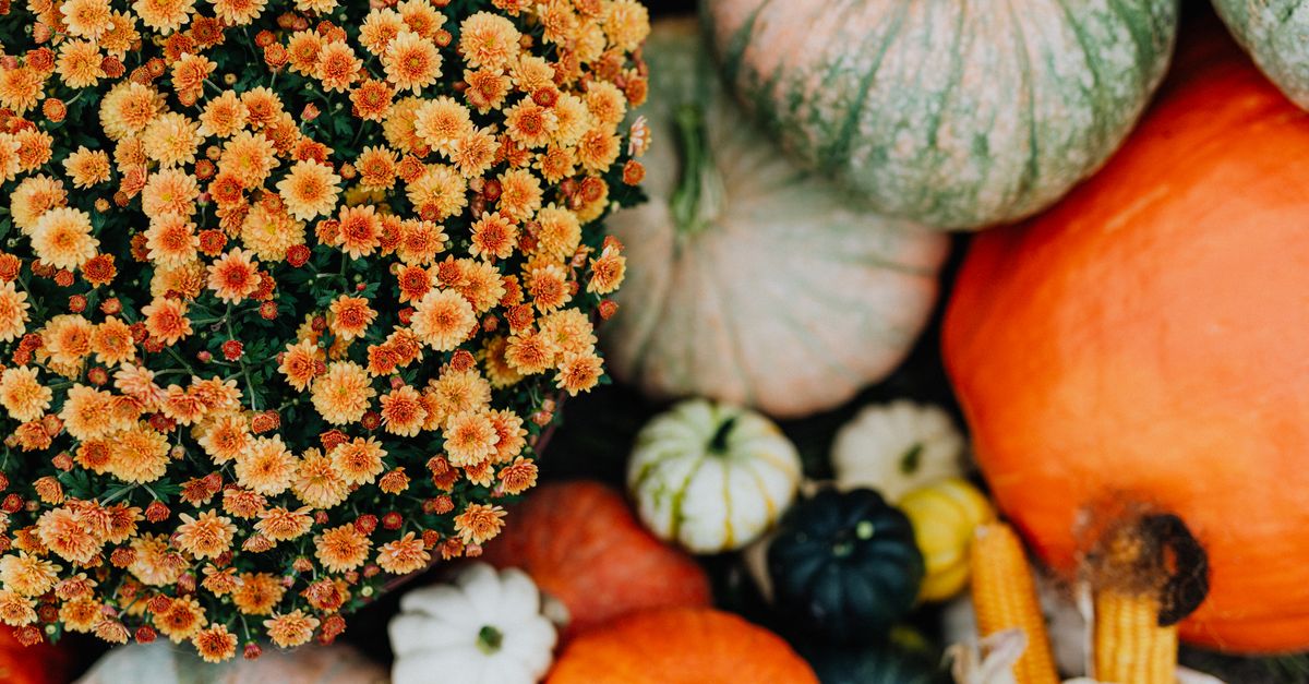 October in Denton Is a Month-Long Affair: Inside the City's 31 Days of Halloween