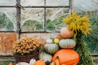 秋季布置质朴，以南瓜、篮子和蜘蛛网为特色
