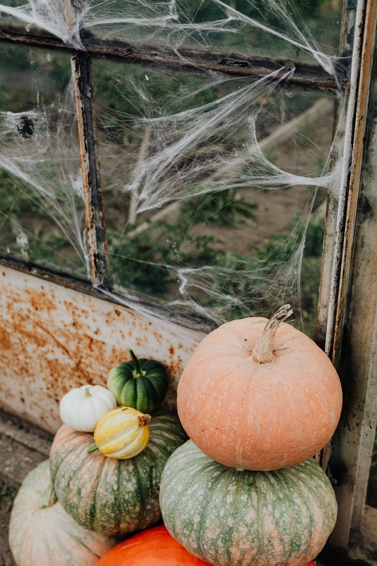 Window With Spider Nets And Pumpkins