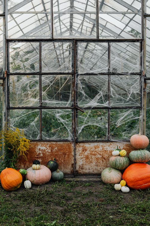 Ingyenes stockfotó elhagyatott, halloween, Ijesztő témában