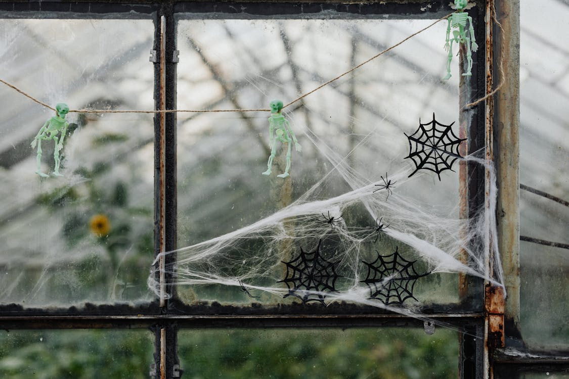 Halloween Decorations in Greenhouse · Free Stock Photo