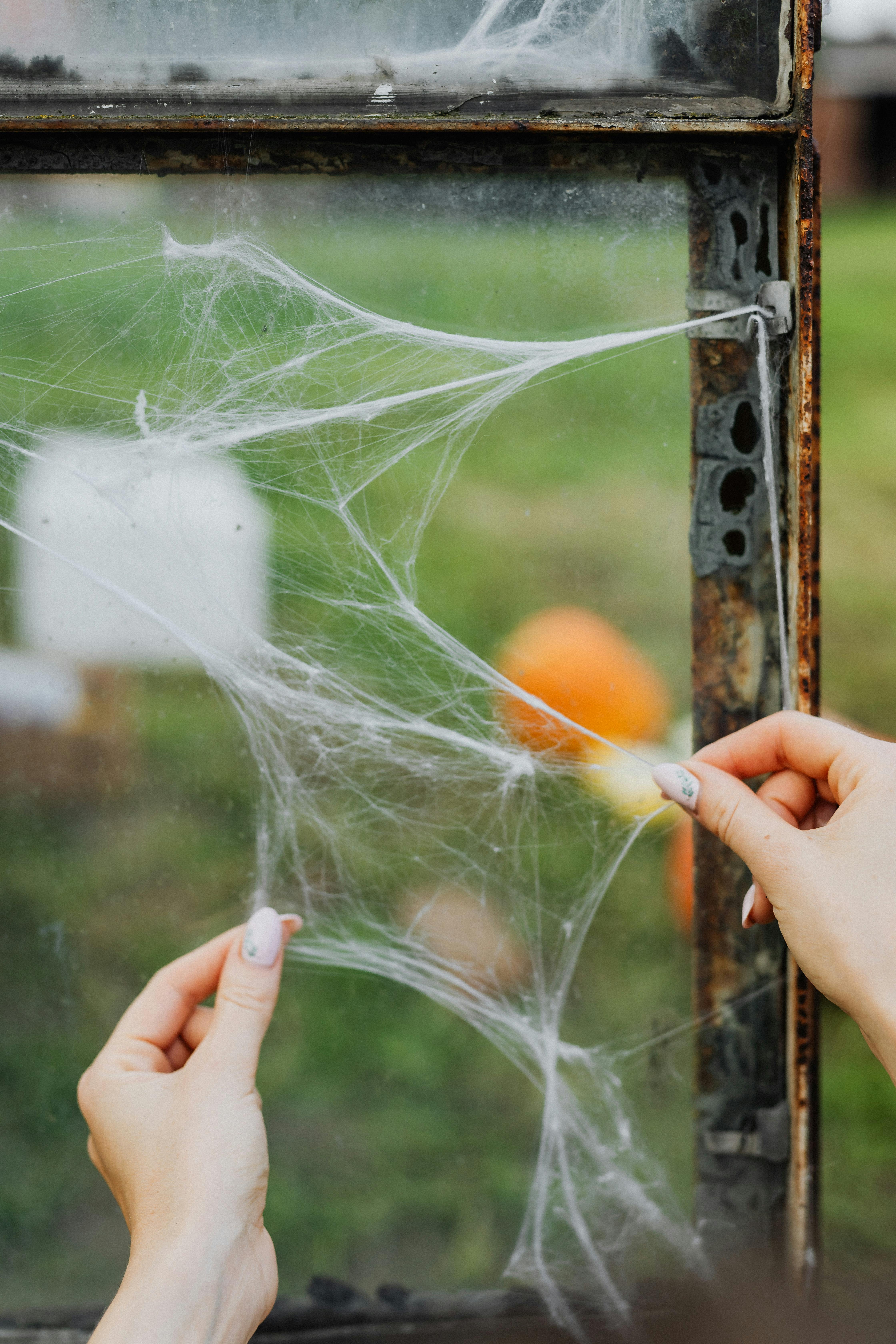 双手在窗户上排列蜘蛛网装饰，背景是南瓜