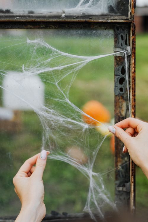 Free Hands arranging spiderweb decor on window with pumpkins in background. Stock Photo