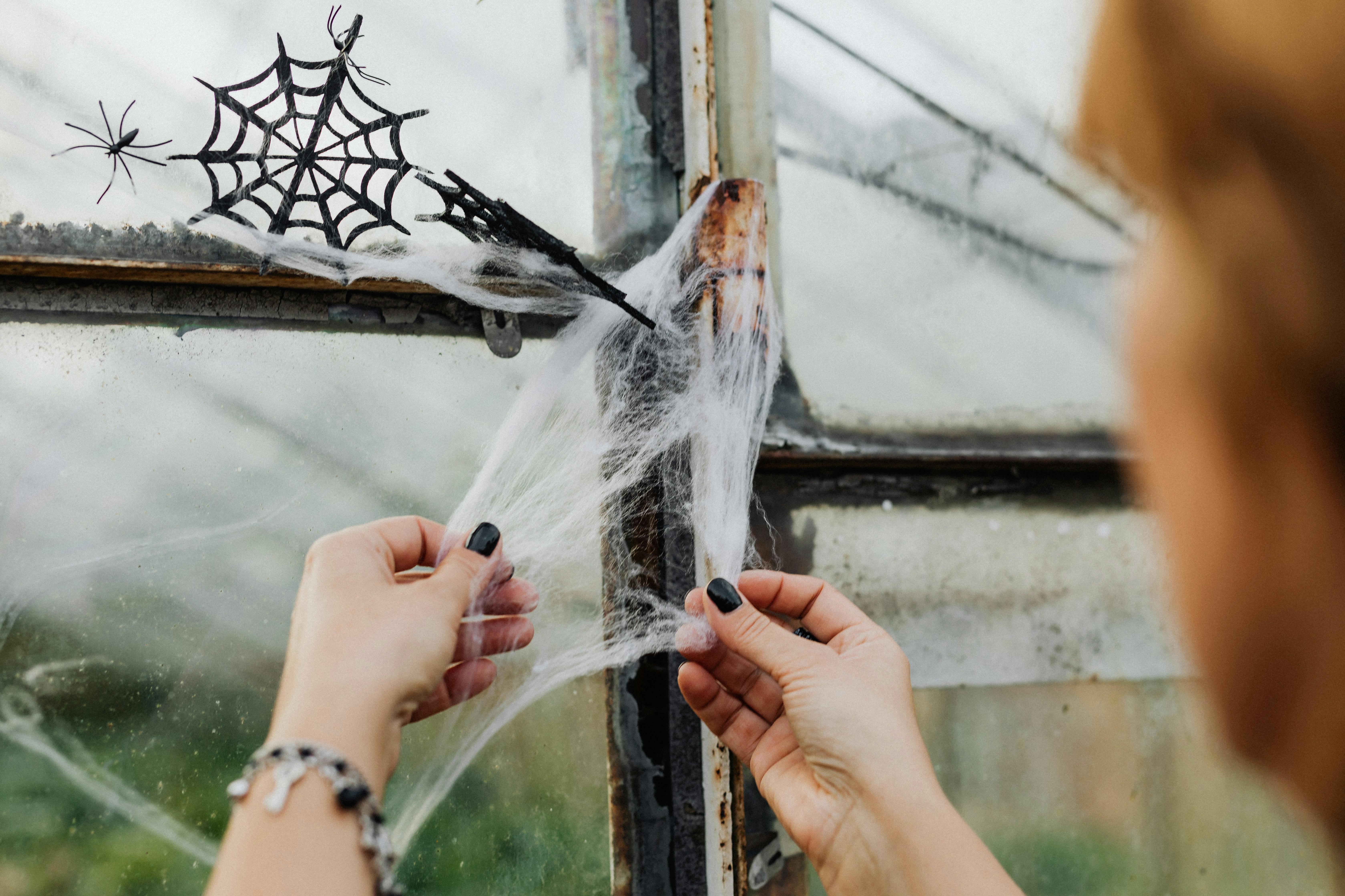 Free Woman Removing Thick Spider Web from Window Stock Photo