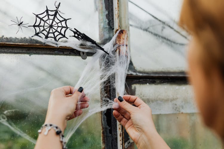 Woman Removing Thick Spider Web From Window