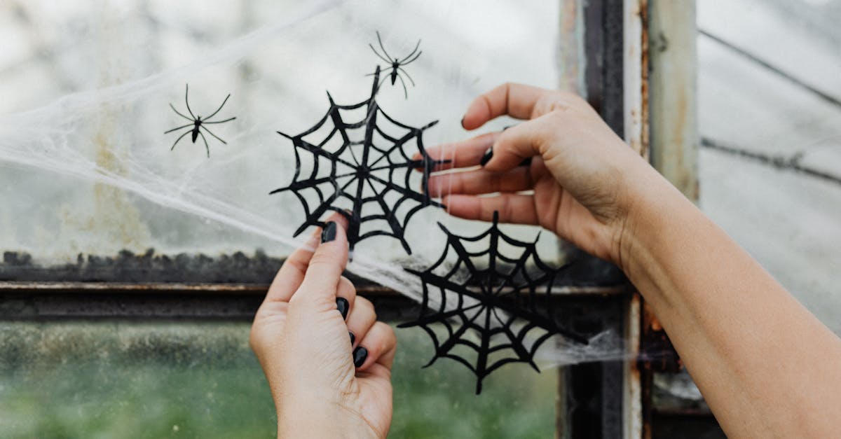 How to kill spiders instantly