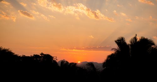 Free A breathtaking sunset scene with silhouetted palm trees and a colorful sky. Stock Photo