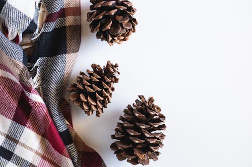 Brown Pine Cone Auf Weißer Oberfläche