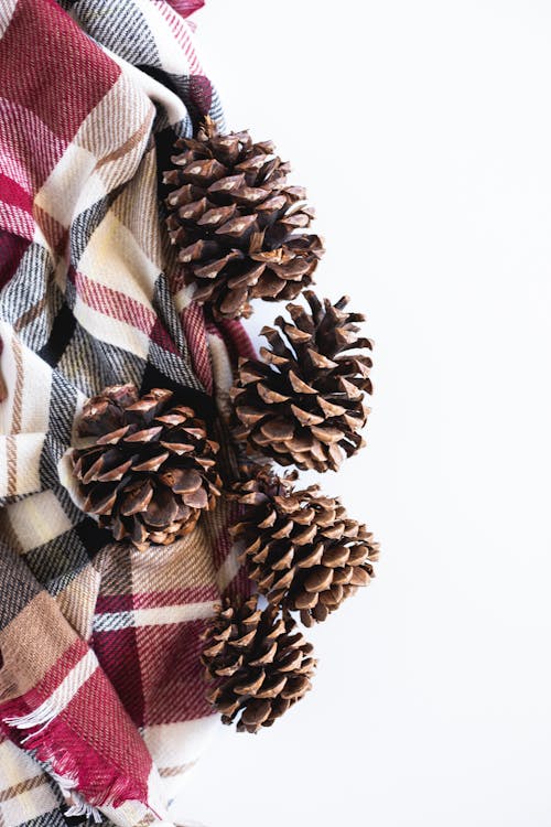 Free Brown Pine Cone on Red and White Checkered Textile Stock Photo
