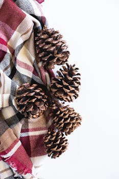 A flat lay of brown pinecones on a plaid fabric. Perfect for autumn decor and festive themes.