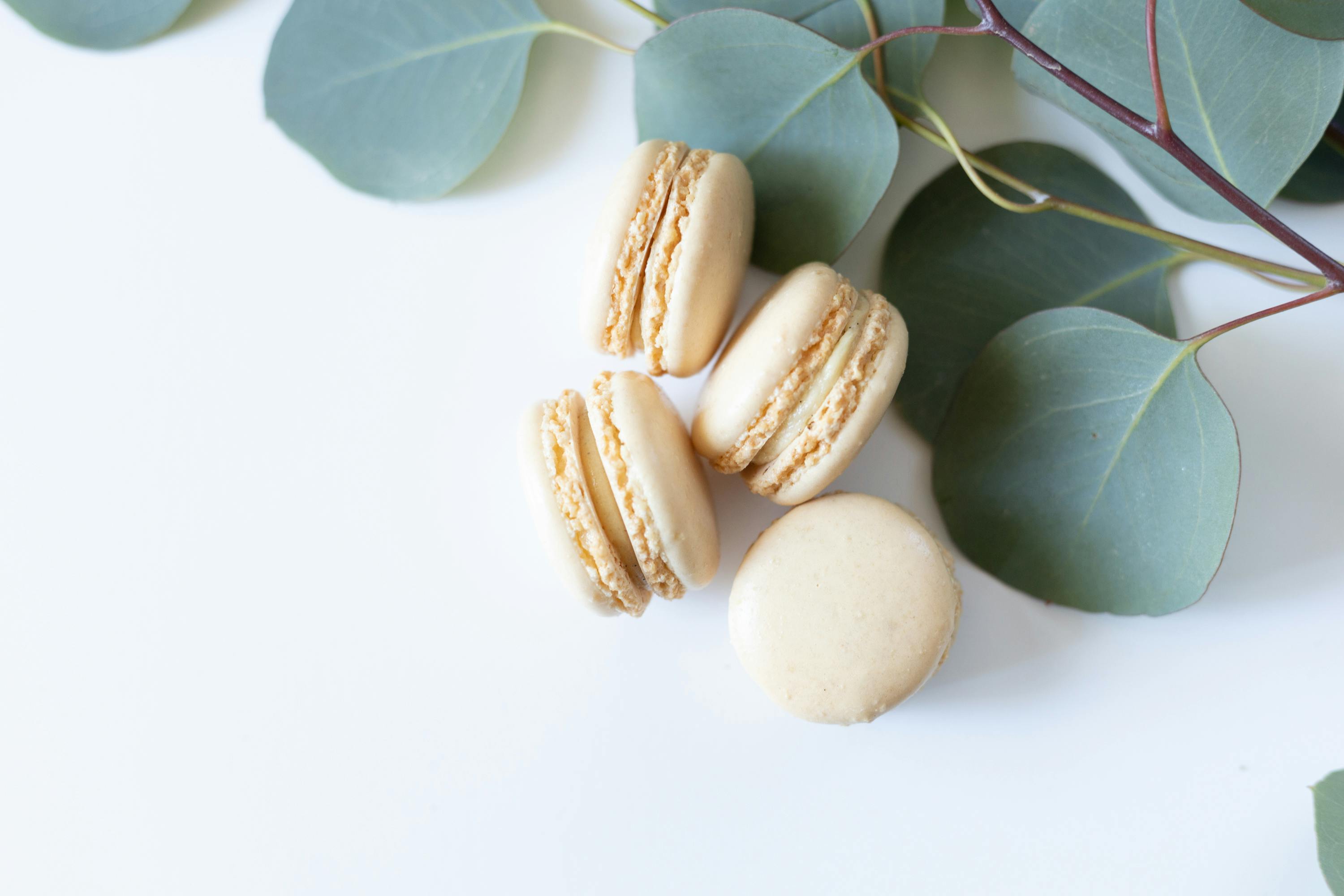 close up shot of french macarons