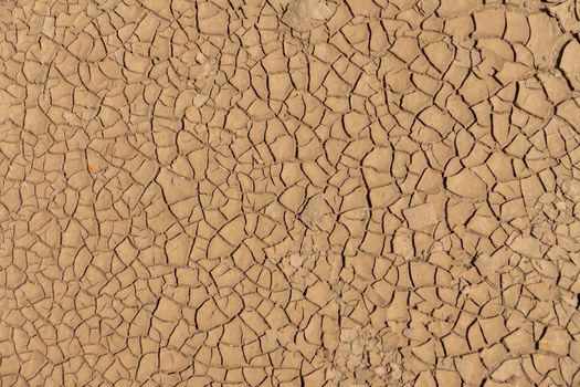 Dry Brown Soil