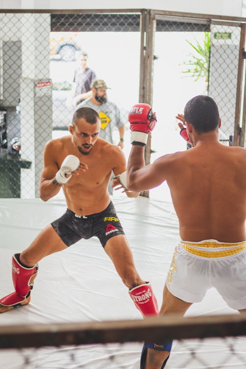 Guantes MMA Kick Boxing Competición Lucha Boxeo Entrenamiento