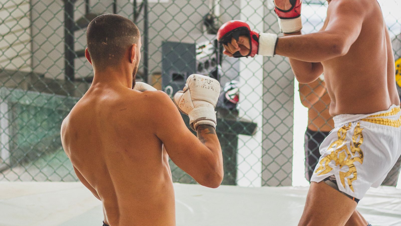 What to Eat Before and After Muay Thai for Fat Loss