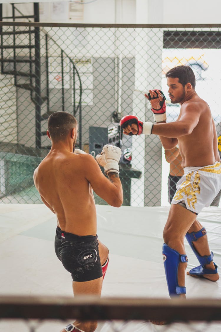 Men Training MMA In A Ring