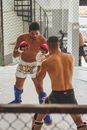 Fighters in a Ring