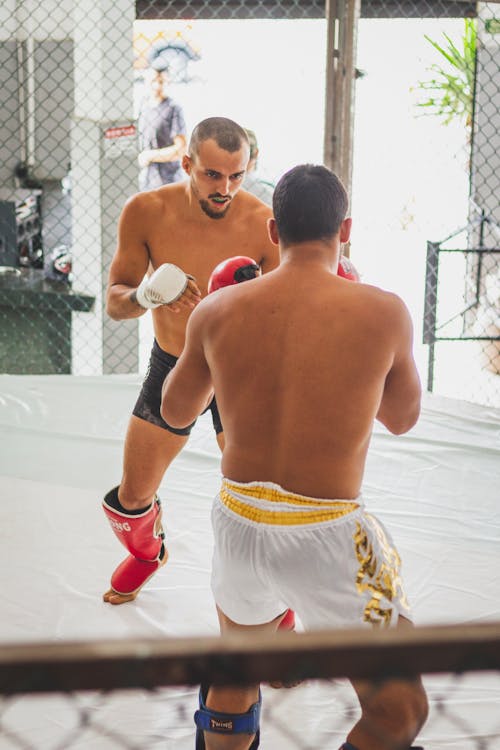 Men Fighting Inside the Ring