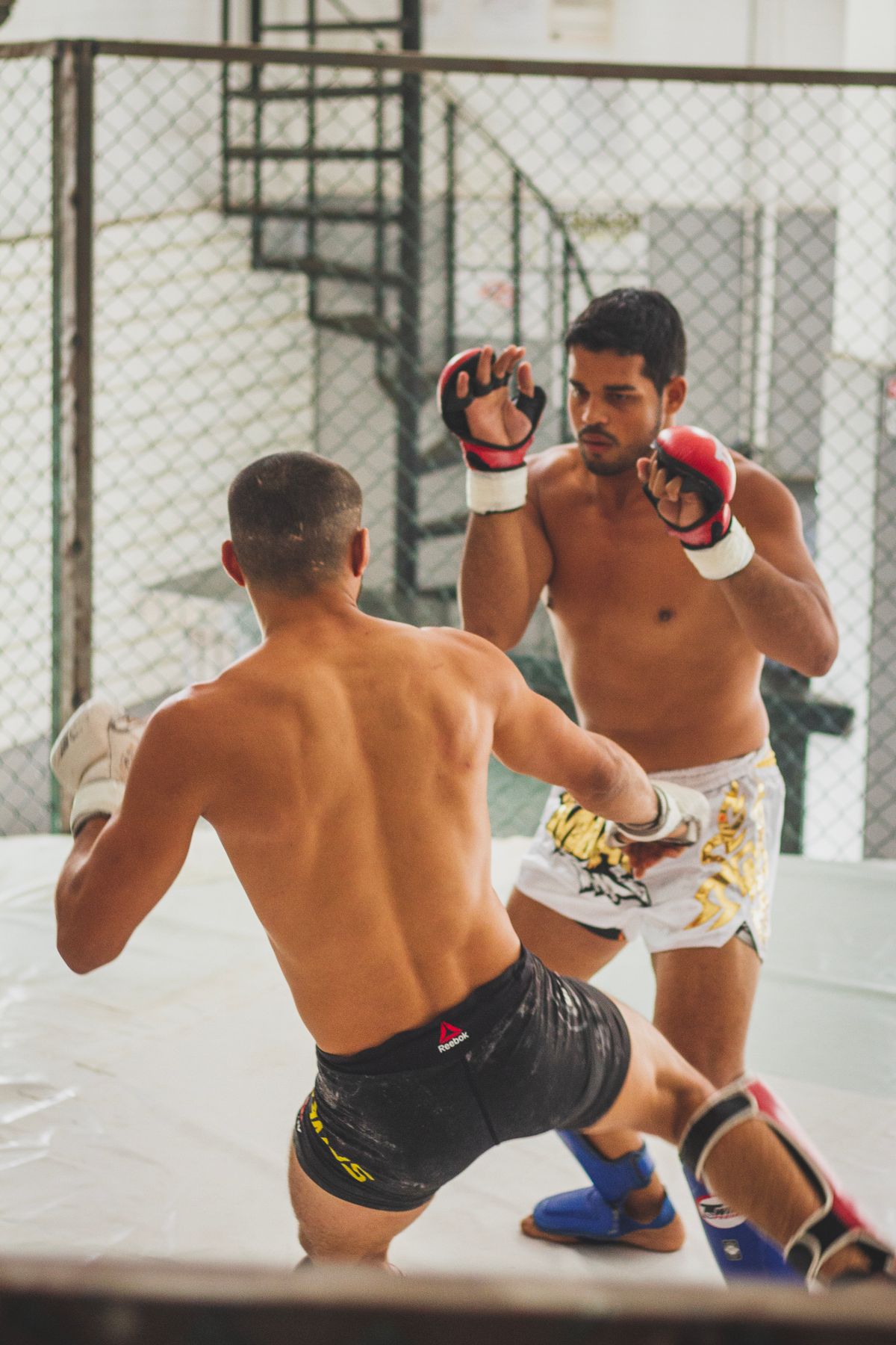Treino no octógono