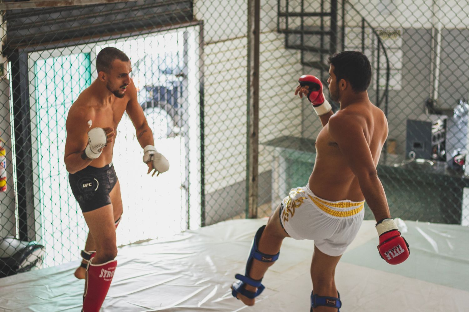 MMA sparring in a gym