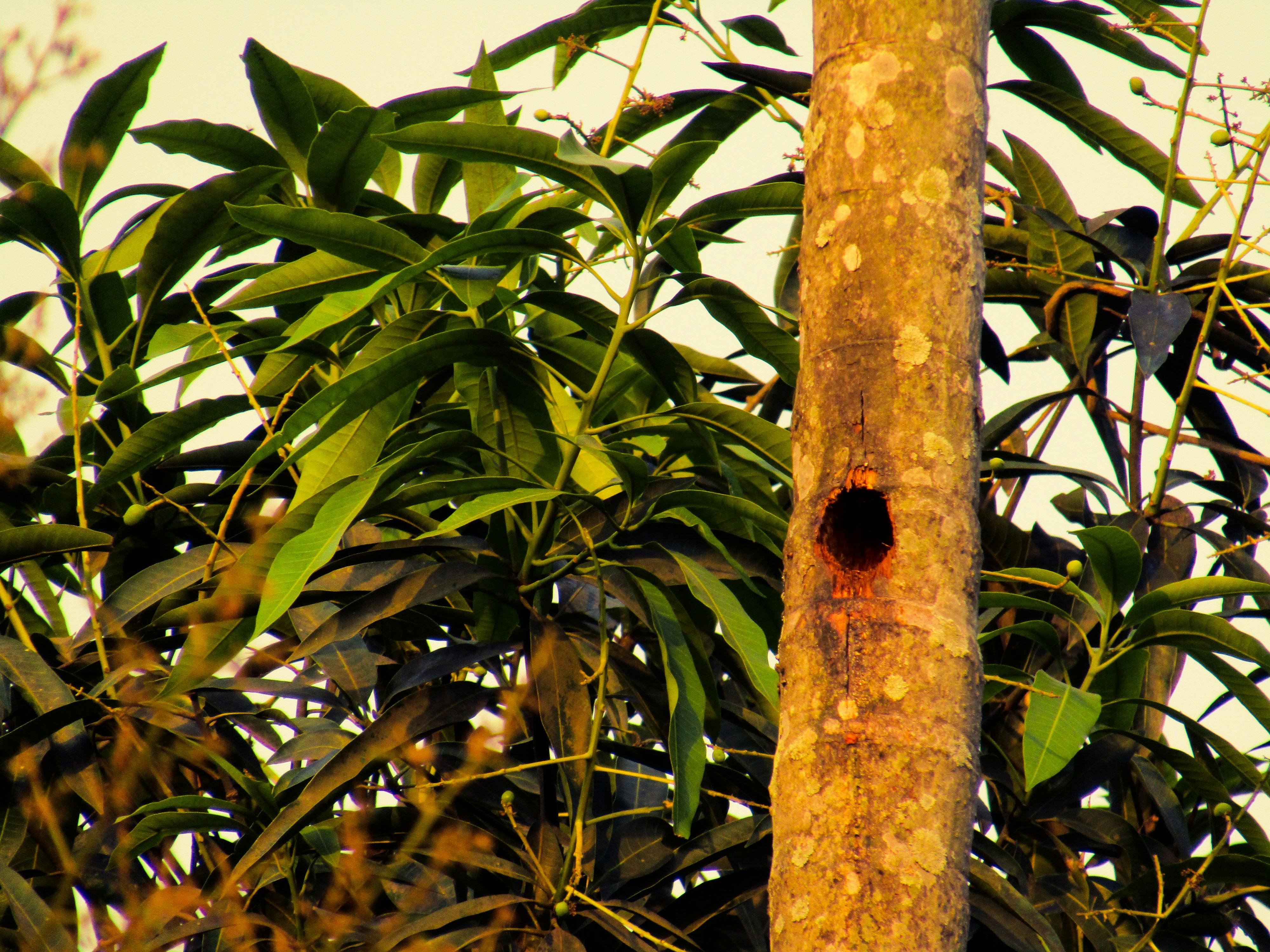 Pick Up Put Down Sleep Training: Step-by-Step Guide