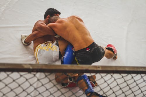 Free Fighters Grappling in a Ring Stock Photo