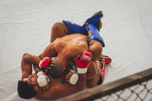 Free Grapplers on the Ground Stock Photo