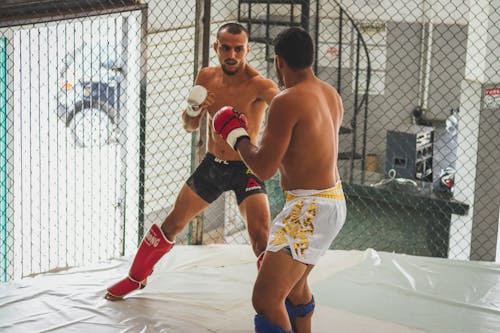 Free Kickboxers Training in the Gym Stock Photo