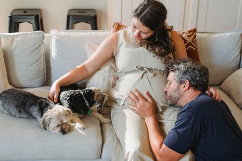 Happy bearded man with gray curly hair kissing tummy of pregnant wife in beige dress sitting on sofa with cute dogs