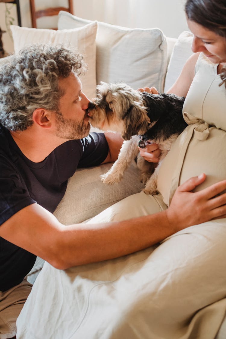 Cheerful Man Kissing Dog And Touching Tummy Of Wife