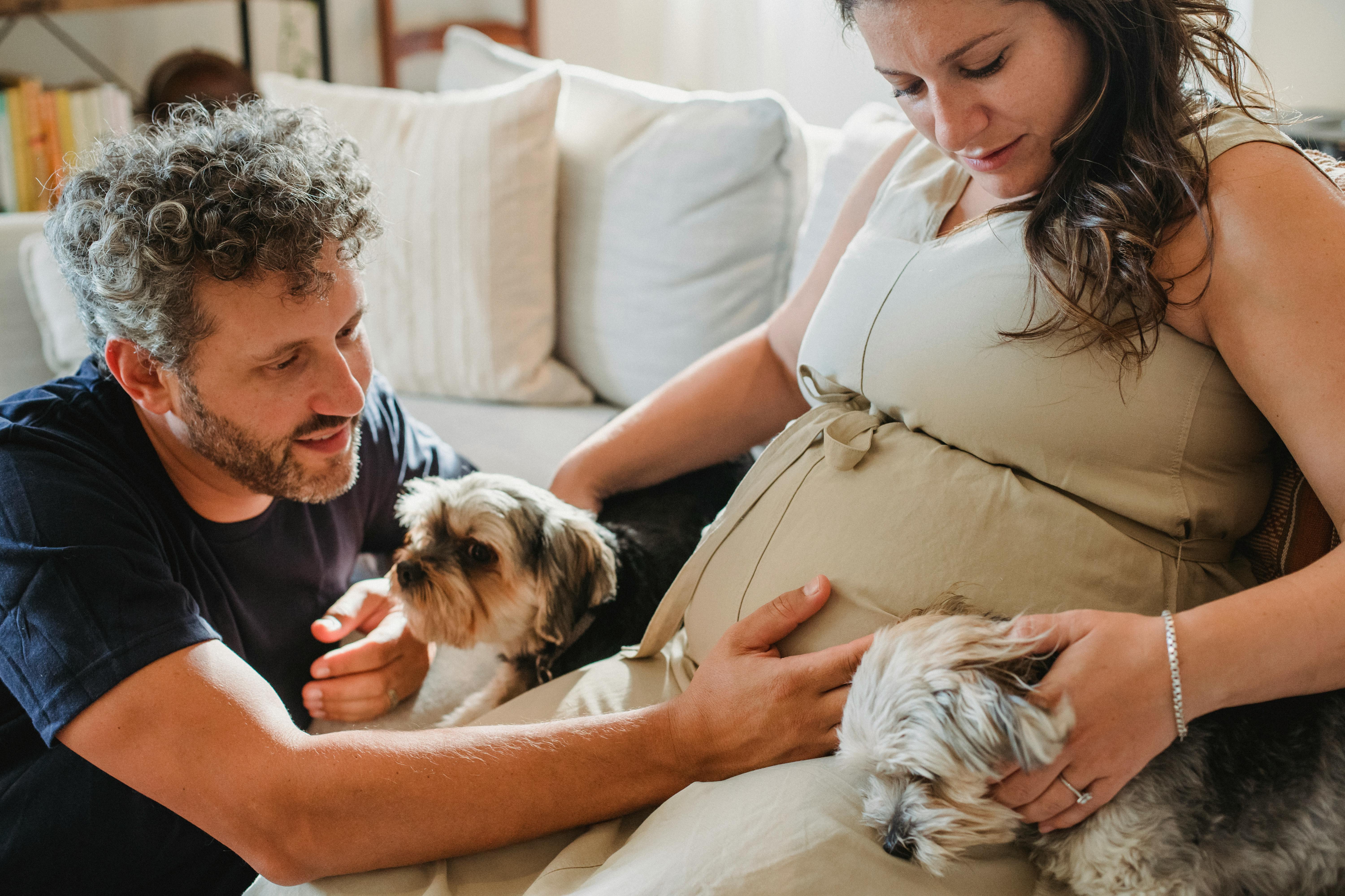 loving pregnant couple caressing dogs on couch