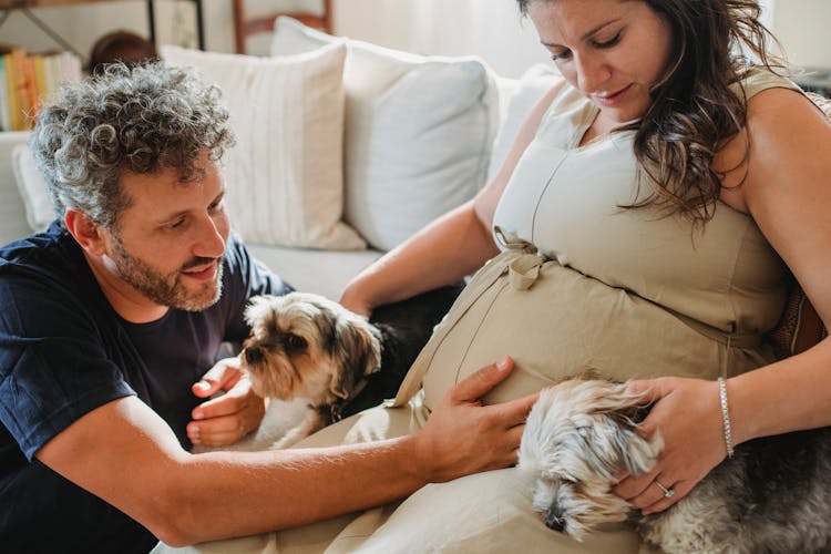 Loving Pregnant Couple Caressing Dogs On Couch