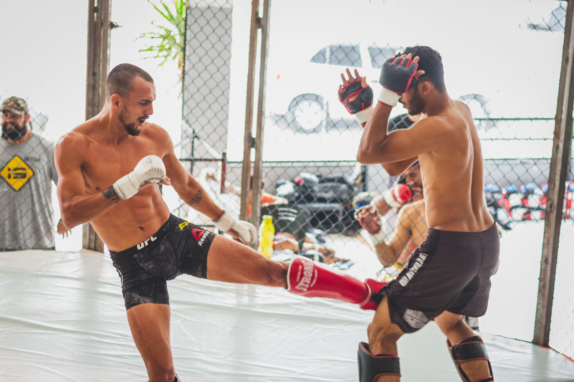 Topuria UFC: ¿Un posible enfrentamiento con McGregor?